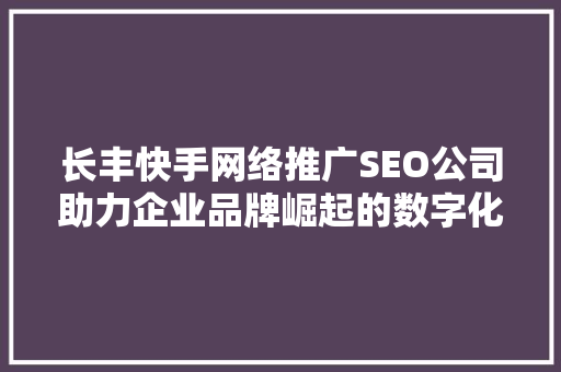 长丰快手网络推广SEO公司助力企业品牌崛起的数字化引擎
