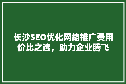 长沙SEO优化网络推广费用价比之选，助力企业腾飞
