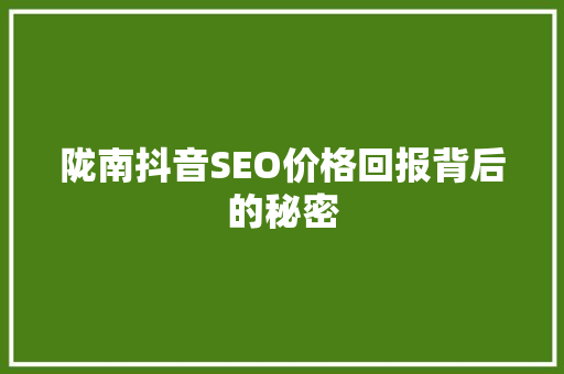 陇南抖音SEO价格回报背后的秘密