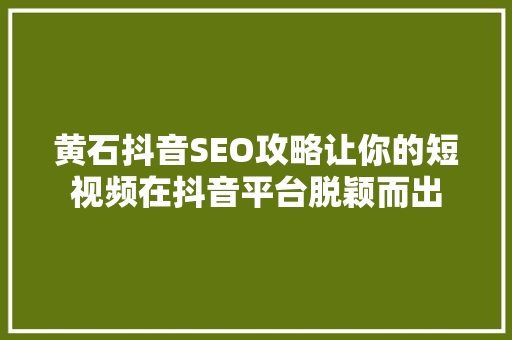 黄石抖音SEO攻略让你的短视频在抖音平台脱颖而出
