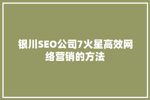 银川SEO公司7火星高效网络营销的方法