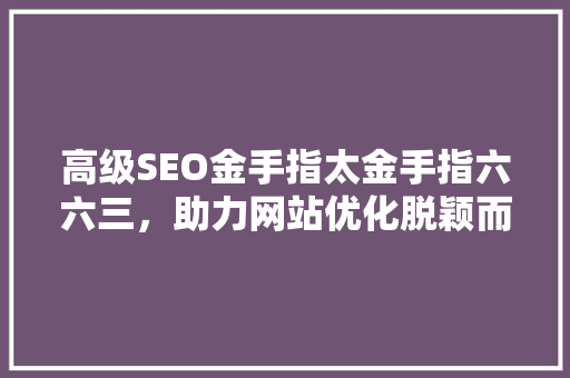 高级SEO金手指太金手指六六三，助力网站优化脱颖而出