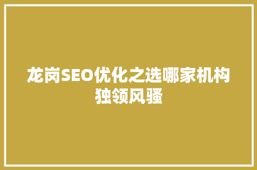 龙岗SEO优化之选哪家机构独领风骚
