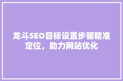 龙斗SEO目标设置步骤精准定位，助力网站优化