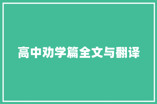 28火星软件SEO网站的得力助手，助您轻松实现流量增长
