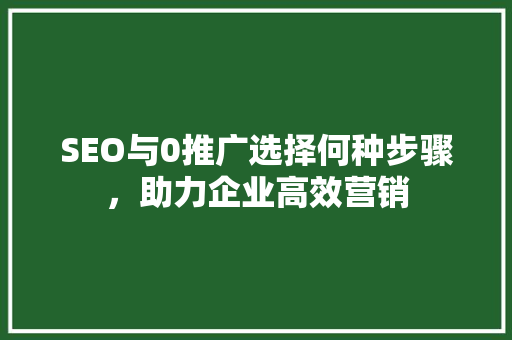 SEO与0推广选择何种步骤，助力企业高效营销