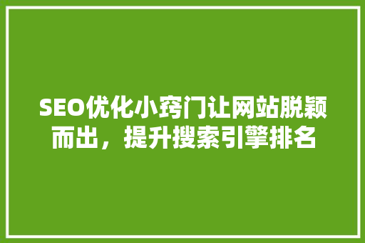 SEO优化小窍门让网站脱颖而出，提升搜索引擎排名