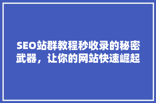 SEO站群教程秒收录的秘密武器，让你的网站快速崛起