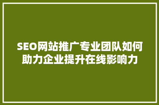 SEO网站推广专业团队如何助力企业提升在线影响力