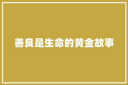 SEO网络爬虫实际例子分析及其在搜索引擎优化中的应用