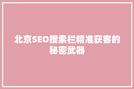 北京SEO搜索栏精准获客的秘密武器