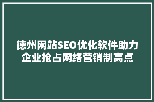 德州网站SEO优化软件助力企业抢占网络营销制高点