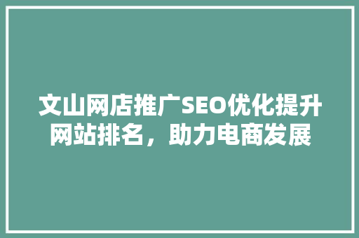 文山网店推广SEO优化提升网站排名，助力电商发展