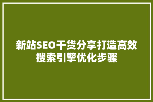 新站SEO干货分享打造高效搜索引擎优化步骤