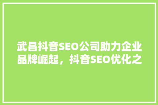 武昌抖音SEO公司助力企业品牌崛起，抖音SEO优化之路