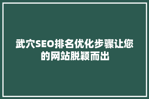 武穴SEO排名优化步骤让您的网站脱颖而出