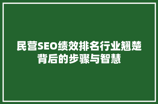 民营SEO绩效排名行业翘楚背后的步骤与智慧