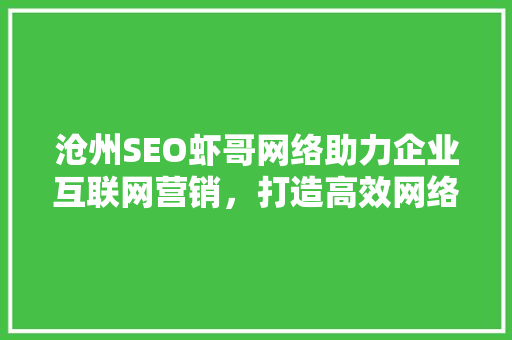 沧州SEO虾哥网络助力企业互联网营销，打造高效网络品牌形象