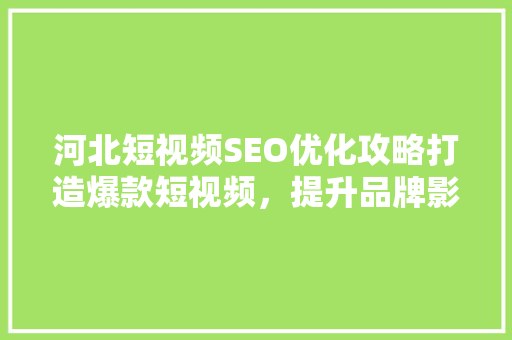 河北短视频SEO优化攻略打造爆款短视频，提升品牌影响力