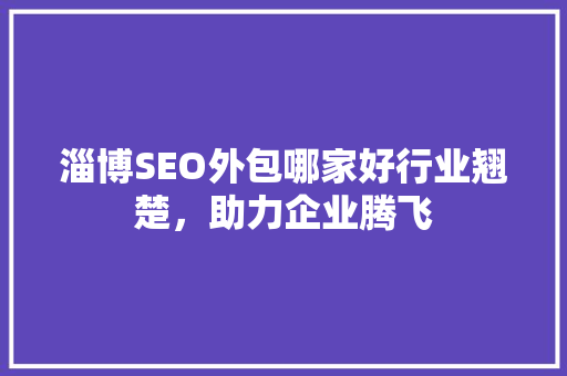淄博SEO外包哪家好行业翘楚，助力企业腾飞