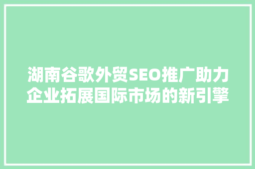 湖南谷歌外贸SEO推广助力企业拓展国际市场的新引擎  第1张