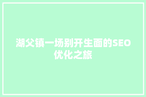 湖父镇一场别开生面的SEO优化之旅