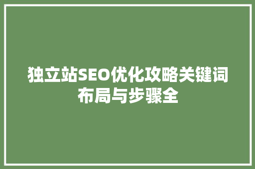 独立站SEO优化攻略关键词布局与步骤全
