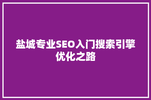 盐城专业SEO入门搜索引擎优化之路