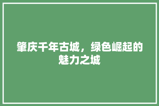 肇庆千年古城，绿色崛起的魅力之城