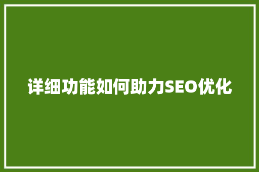 详细功能如何助力SEO优化