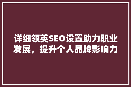 详细领英SEO设置助力职业发展，提升个人品牌影响力