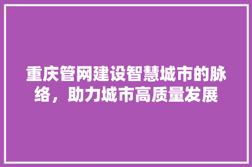 重庆管网建设智慧城市的脉络，助力城市高质量发展