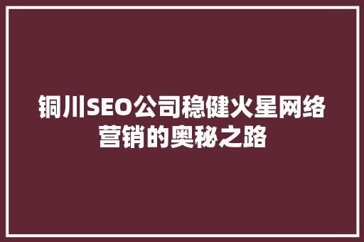 铜川SEO公司稳健火星网络营销的奥秘之路