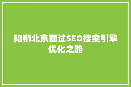 阳狮北京面试SEO搜索引擎优化之路