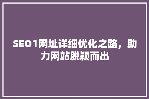SEO1网址详细优化之路，助力网站脱颖而出