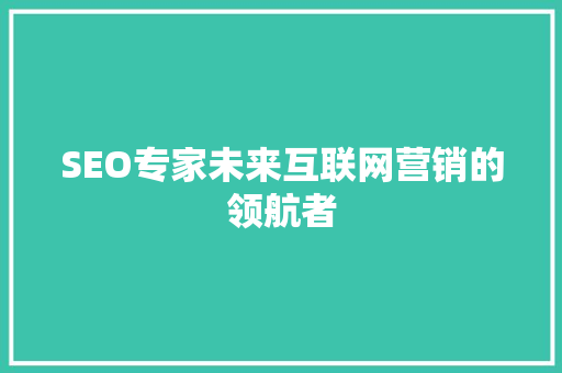 SEO专家未来互联网营销的领航者