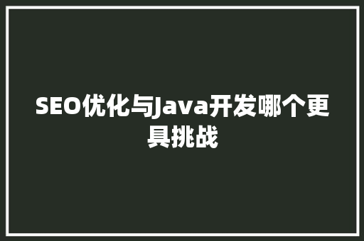 SEO优化与Java开发哪个更具挑战