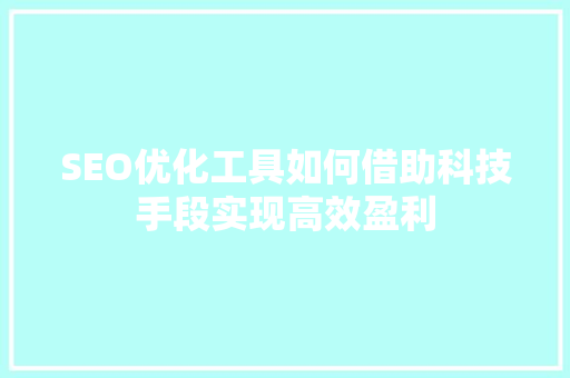 SEO优化工具如何借助科技手段实现高效盈利