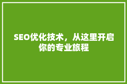 SEO优化技术，从这里开启你的专业旅程