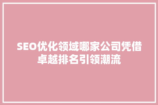 SEO优化领域哪家公司凭借卓越排名引领潮流