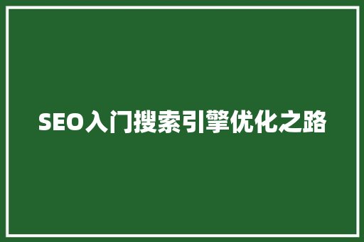 SEO入门搜索引擎优化之路