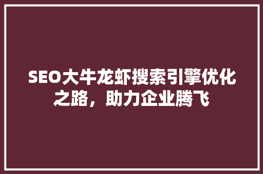 SEO大牛龙虾搜索引擎优化之路，助力企业腾飞
