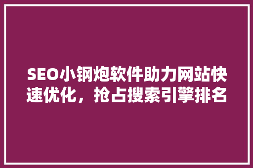 SEO小钢炮软件助力网站快速优化，抢占搜索引擎排名高地