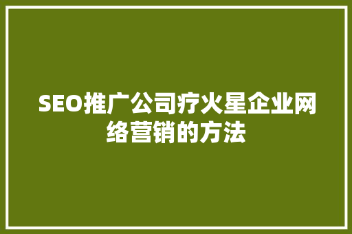 SEO推广公司疗火星企业网络营销的方法