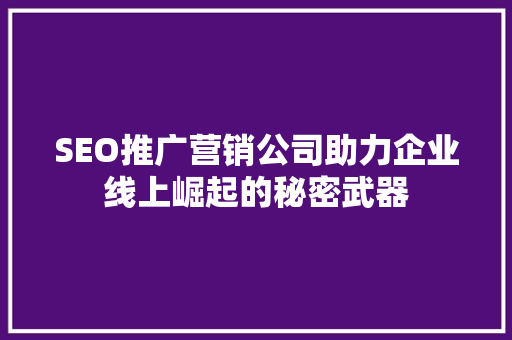 SEO推广营销公司助力企业线上崛起的秘密武器