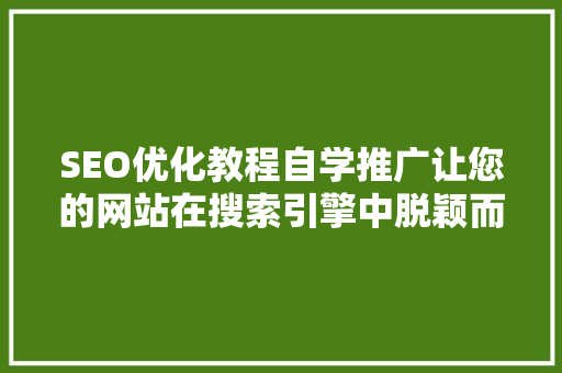 SEO优化教程自学推广让您的网站在搜索引擎中脱颖而出