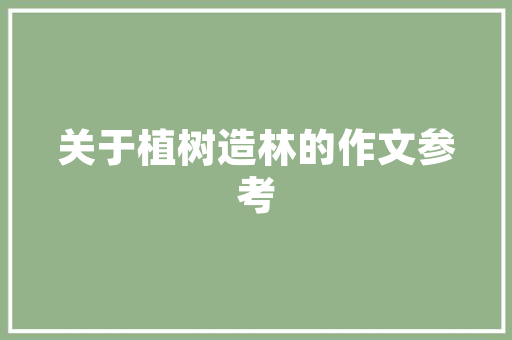 C语言编程软件开发的基石与未来