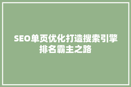 SEO单页优化打造搜索引擎排名霸主之路
