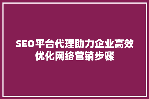 SEO平台代理助力企业高效优化网络营销步骤