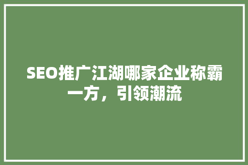 SEO推广江湖哪家企业称霸一方，引领潮流